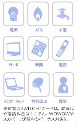 東京電力Switchカードのポイントボーナス対象の例
