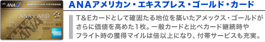 ANAアメリカン・エキスプレス・ゴールド・カード