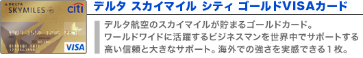 デルタ スカイマイル シティ ゴールドVISAカード