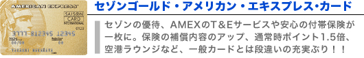セゾンゴールド・アメリカン・エキスプレス･カード